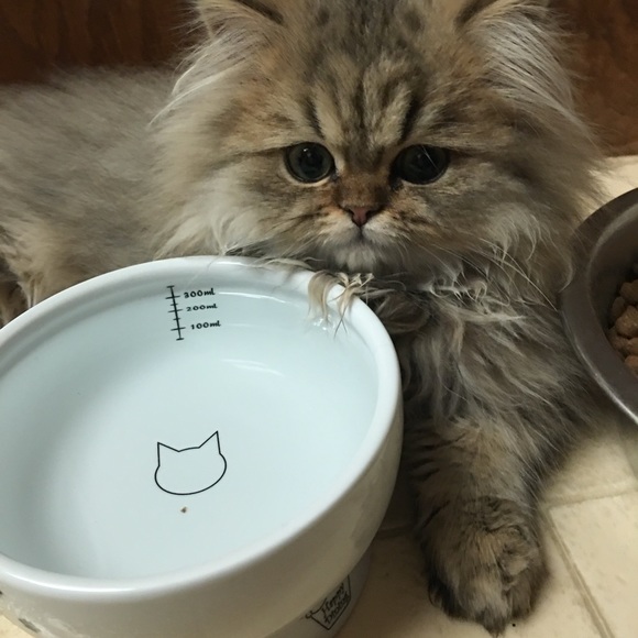 Meet your Posher, Sharon - Picture 11 of 16